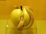  ambiguous_gender apple female feral fruit photo proper_art pussy real religion reptile scalie sex snake unknown_artist what what_has_science_done 
