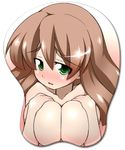  1girl blush boobpad breast_mousepad breasts brown_hair covering covering_breasts female green_eyes kaz_(shade) large_breasts long_hair lowres makihara_nodoka mouse_pad mousepad nude nude_cover original solo upper_body 