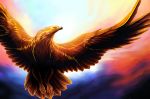  2017 avian beak bird brown_feathers digital_media_(artwork) feathered_wings feathers feral hi_res iolar signature solo varaann wings 