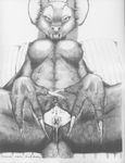  anthro anus bat black_and_white breasts claws fangs female greyscale inviting james_m_hardiman looking_at_viewer mammal monochrome nipples nude presenting pussy pussy_juice sitting solo spread_pussy spreading veronika veronika_(jmh) 