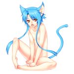  animal_ears barefoot blue_hair brown_eyes cat_ears feet flat_chest highres long_hair nude open_mouth original simple_background sitting solo tail toes tsuki_tokage 