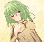  blush green_hair hyaa kazami_yuuka red_eyes ribbed_sweater solo sweater touhou 