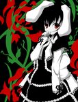  alternate_color alternate_costume animal_ears black_hair bunny_ears frills gothic gothic_lolita hand_to_own_mouth haruyonoto inaba_tewi lolita_fashion red_eyes short_hair solo touhou 