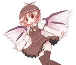  animal_ears bad_id bad_pixiv_id blush brown_legwear dress earrings fuuen_(akagaminanoka) hat jewelry mystia_lorelei panties pantyshot pink_hair red_eyes short_hair solo thighhighs touhou underwear white_panties wings 