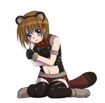  animal_ears hachi_(hachikai) hair_ornament lowres lyrical_nanoha mahou_shoujo_lyrical_nanoha_strikers raccoon_ears solo thighhighs x_hair_ornament yagami_hayate 