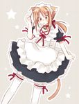  animal_ears cat_ears harmonia hasegawa_chisame mahou_sensei_negima! maid solo thighhighs 