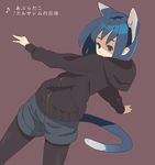  animal_ears blue_eyes blue_hair copyright_request legwear_under_shorts pantyhose pantyhose_under_shorts shimura_nobuo shorts solo tail 