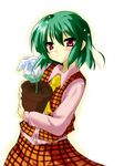  ascot flower_pot green_hair hizaka holding kazami_yuuka light_smile plaid plaid_skirt plaid_vest plant potted_plant red_eyes short_hair skirt skirt_set solo touhou vest white_background 