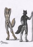  abs ace_stryker anthro back balls black_fur butt canine duo fur looking_at_viewer male mammal muscles penis pose simple_background standing wolf yellow_eyes 