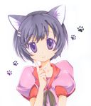  animal_ears bad_id bad_pixiv_id black_hair cat_ears chibitan hanekawa_tsubasa monogatari_(series) nisemonogatari purple_eyes school_uniform short_hair smile solo 