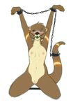  anthro ball_gag bdsm bondage bound breasts chain female freckles gag leverpuller looking_at_viewer mammal mustelid nipples nude one_eye_closed otter plain_background pussy solo spreader_bar white_background 