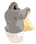  anthro beard black_hair clothed clothing facial_hair fur grey_fur hair kumagaya_shin love_mechanic male mammal muscular muscular_male pants rear_view shirt short_tail simple_background solo tom_(lm) topless ursine white_background white_pants 