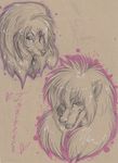  dog fancymisslady female fur hair isabella_price mammal poodle rosemary_hemlock sketch were werewolf wolf 