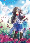  bad_id bad_pixiv_id blue_eyes blurry bondson bow brown_hair candy cloud day depth_of_field eating flower food hair_bow hair_ornament hand_on_hip long_hair original petals rose sky solo thighhighs 