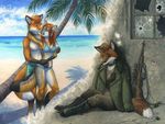  beach bikini canine clothed clothing dream female fox jackal jfox kacey m14 male mammal seaside skimpy soldier swimsuit war 