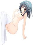  black_hair blush breasts brown_eyes chocolate food legs long_legs monogatari_(series) navel nipples nisemonogatari nude pocky sengoku_nadeko shiny shiny_skin short_hair small_breasts thighhighs tomosuke white_background 