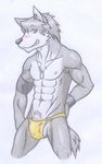  anthro armpit_hair biceps black_nose blush bulge canine chest_tuft dog dog_tags fur grey_fur grey_hair grin hair hand_on_butt husky kouya kouya_aotsuki looking_at_viewer male mammal melfyoris morenatsu muscles necklace nipples pecs penis plain_background pose pubes smile solo speedo standing swimsuit topless tuft underwear white_background wolf 