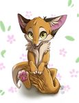 canine cute fluffy_tail fox looking_at_viewer mammal paws smile solo stasya_sher yellow_eyes 