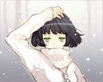 black_hair bob_cut copyright_request face green_eyes jewelry lowres necklace short_hair smile snow solo sweater tearfish 