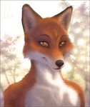  amber_eyes anthro black_nose canine close-up fox fur looking_at_viewer male mammal nude orange orange_eyes orange_fur outside portrait solo tree whiskers white wood zen 