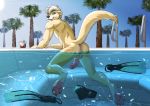  4_toes anthro anus backsack balls biped butt butt_pose clothing digitigrade erection feet hot_tub humanoid_penis looking_at_viewer male mammal mgmr mustelid nude otter palm_tree partially_submerged pawpads penis raised_tail smile solo speedo swimsuit toes tree vaulz water 
