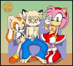  amy_rose balls breasts buldge bulge cream_the_rabbit cub cum dress eyewear female glasses gloves handjob jeans male nipples palcomix panties sega sonic_(series) underwear young zeta_r-02 