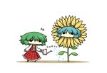  antennae aqua_hair ascot chibi commentary flower green_hair kazami_yuuka kurokoori multiple_girls no_mouth no_nose o_o plaid plaid_vest solid_circle_eyes sunflower touhou vest water_drop watering_can wide_face wriggle_nightbug 