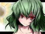  collarbone flower green_hair kazami_yuuka kotaka letterboxed looking_at_viewer no_nose nude outside_border red_eyes smile solo sunflower touhou 