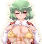  bikini_top blush breast_grab breasts floral_print grabbing green_hair highres kazami_yuuka large_breasts lingerie one_eye_closed open_clothes open_shirt open_vest red_eyes shirt short_hair solo_focus touhou underwear upper_body vest yoshi_tama 