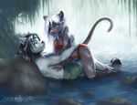  anthro bikini blue_eyes breasts brown_eyes clothed clothing couple duo feline female leopard male mammal skimpy swimsuit tight_clothing water waterfall 