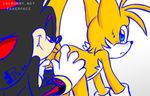  anal blush butt canine couple eye_contact fakerface fox gay male mammal miles_prower penis sega sex shadow_the_hedgehog smile sonic_(series) uncut 