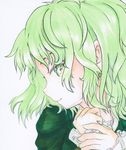 bad_id bad_pixiv_id dress face green_dress green_eyes green_hair kinohanaomise lips profile smile soga_no_tojiko solo touhou 