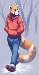  male red_panda solo tagme unknown_artist 