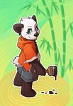  bamboo bear blue_eyes clothing hoodie male mammal orangetavi painting panda solo 