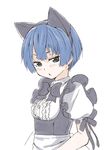  animal_ears ano_natsu_de_matteru blue_eyes blue_hair cat_ears errant maid short_hair solo tanigawa_kanna waitress 