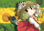  antennae ascot bad_id bad_pixiv_id blush_stickers cape flower green_hair hat hat_ribbon kazami_yuuka mesou-san multiple_girls o_o open_mouth photo_background red_eyes ribbon short_hair sunflower touhou wriggle_nightbug 