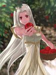  apple bad_id bad_pixiv_id dress fate/zero fate_(series) food fruit irisviel_von_einzbern long_hair red_eyes ren_(calmingsignal) shade solo tree white_hair 