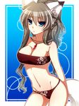  animal_ears bare_shoulders bikini blue_eyes breasts brown_hair cleavage fox_ears fox_tail groin jewelry konshin long_hair looking_at_viewer medium_breasts navel necklace nerine_potypukka pixiv_fantasia pixiv_fantasia_5 solo strapless swimsuit tail tubetop wet 