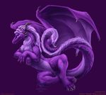  curiodraco dragon female feral fur furred_dragon horn looking_at_viewer nude pinup pose purple_fur pussy solo wings 