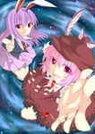  animal_ears bunny_ears colored_eyelashes foreshortening from_below h-arukiti long_hair looking_at_viewer multiple_girls mystia_lorelei outstretched_hand pink_eyes pink_hair purple_hair red_eyes reisen_udongein_inaba short_hair touhou wings 