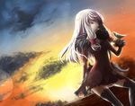  1girl agria agria_(tales) bird cloud grey_hair red_eyes solo star sunset tales_of_(series) tales_of_xillia thighhighs 