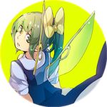  bad_id bad_pixiv_id bow circle daiyousei from_behind green_eyes green_hair hair_bow looking_back pisoshi ponytail solo touhou wings 