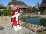  dragon female fur furdragon fursuit german japanese laki luria real red red_fur unknown_artist 