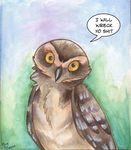  ambiguous_gender avian beak bird burrowing_owl dialog dialogue english_text feral looking_at_viewer owl pmoss reaction_image text yellow_eyes 