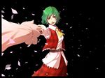  :d ascot bad_apple!! bad_id bad_pixiv_id belt closed_umbrella dress green_hair highres kazami_yuuka looking_at_viewer marei_(mercy) open_mouth petals red_eyes short_hair simple_background smile solo touhou umbrella vest 