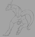  anthro anus balls black_and_white dragon horn looking_at_viewer male monochrome nude penis pose scalie solo tojo_the_thief 