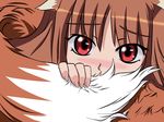 animal_ears blush brown_hair holo red_eyes solo spice_and_wolf tail vector_trace wolf_ears 