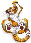  kung_fu_panda master_tigress tagme 