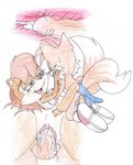  sally_acorn sonic_team tagme tails terrible-artist 