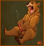  balls bear big_penis brother_bear chubby cum cumshot disney erection eyes_closed feral fur grizzly_bear kenai klaus_doberman male mammal masturbation nude orgasm penis solo ursine_penis 